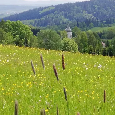 Gosciniec Sliwkowy Sad *