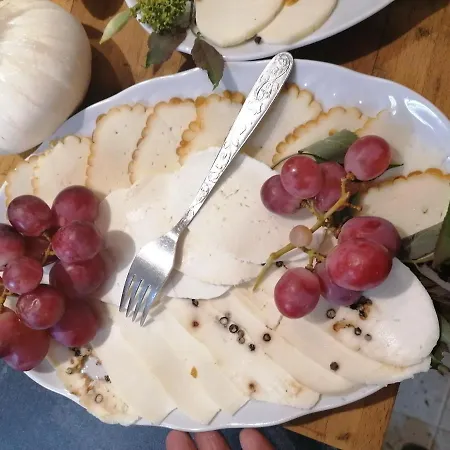 Gosciniec Sliwkowy Sad *