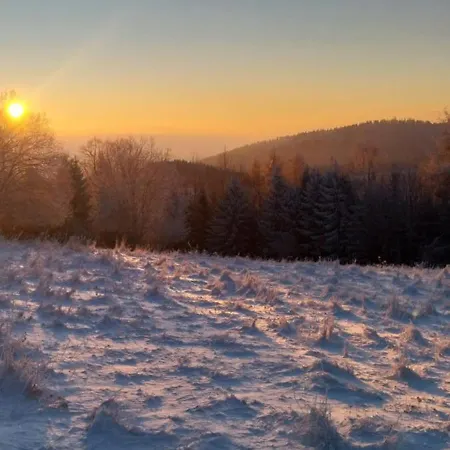 Gosciniec Sliwkowy Sad