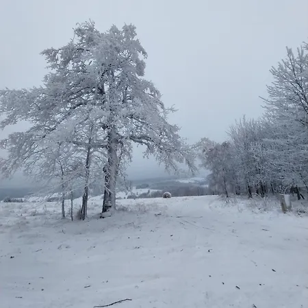 팜스테이 Gosciniec Sliwkowy Sad Gniewoszow (Lower Silesia)