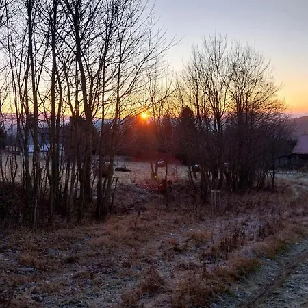 Gosciniec Sliwkowy Sad Gniewoszow (Lower Silesia)