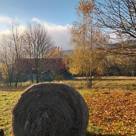 Gosciniec Sliwkowy Sad * Gniewoszow (Lower Silesia)