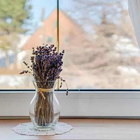 Gosciniec Sliwkowy Sad *