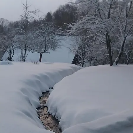 Gosciniec Sliwkowy Sad * Gniewoszow (Lower Silesia)