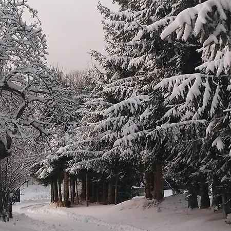 Alojamento de Turismo Rural Gosciniec Sliwkowy Sad