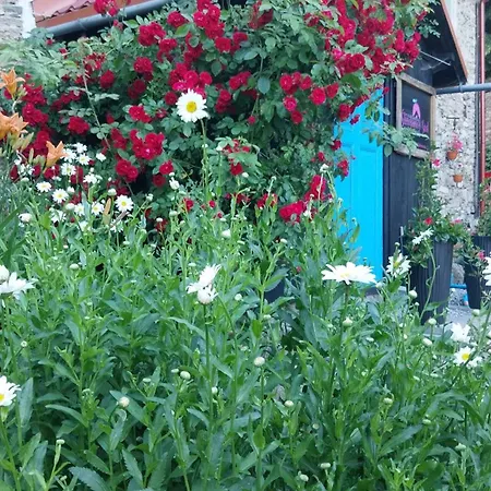 Bauernhof Gosciniec Sliwkowy Sad