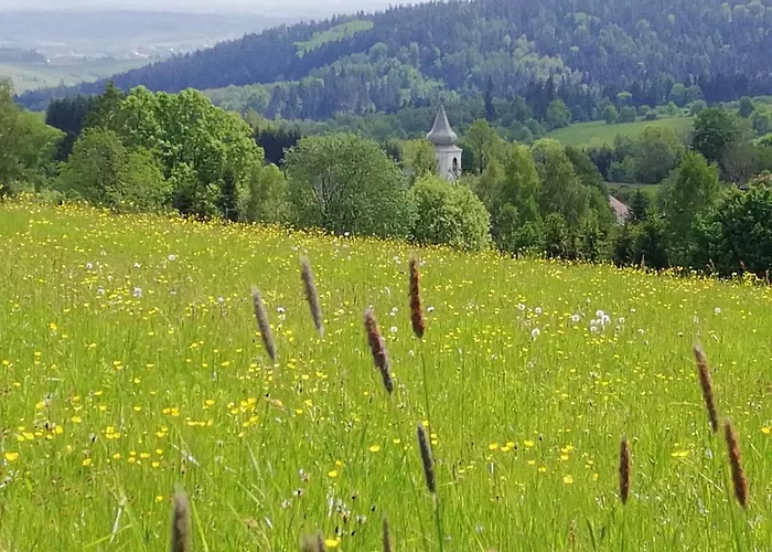 Gosciniec Sliwkowy Sad *