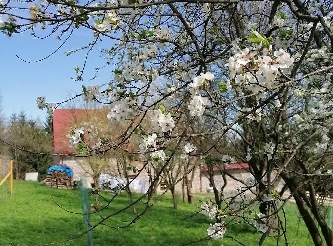 Gosciniec Sliwkowy Sad