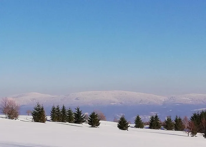 Gosciniec Sliwkowy Sad Farm stay *