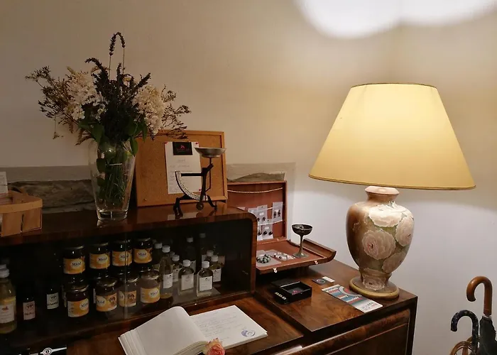 Gosciniec Sliwkowy Sad *