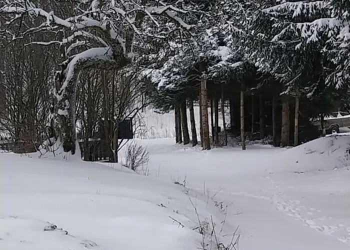 Gosciniec Sliwkowy Sad Farm stay Gniewoszow (Lower Silesia)