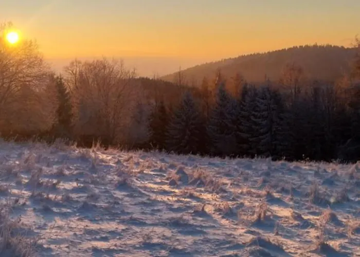 Gosciniec Sliwkowy Sad