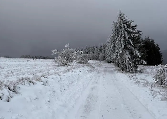 Gosciniec Sliwkowy Sad Farm stay Gniewoszow (Lower Silesia)