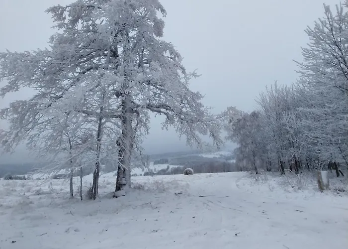 Farm stay Gosciniec Sliwkowy Sad Gniewoszow (Lower Silesia)