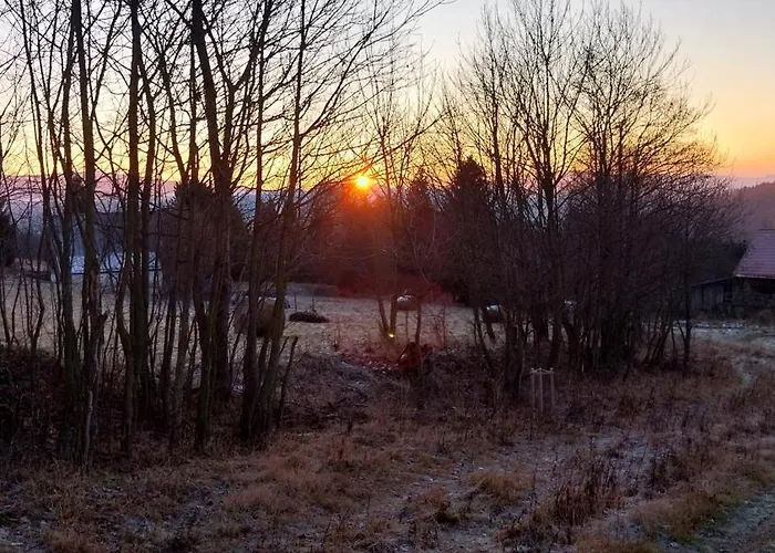 Gosciniec Sliwkowy Sad Gniewoszow (Lower Silesia)