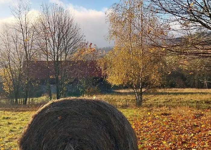 Gosciniec Sliwkowy Sad * Gniewoszow (Lower Silesia)