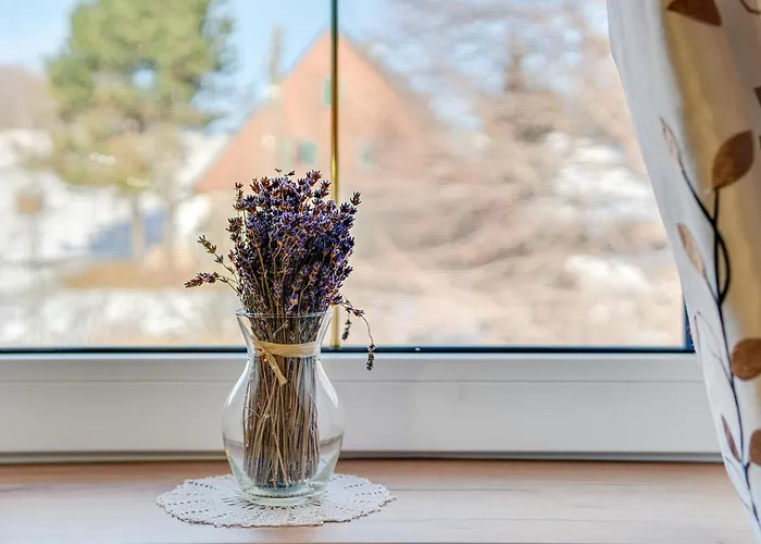 Gosciniec Sliwkowy Sad *