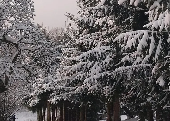 Farm stay Gosciniec Sliwkowy Sad