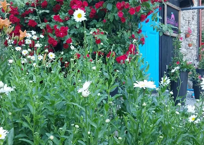 Farm stay Gosciniec Sliwkowy Sad